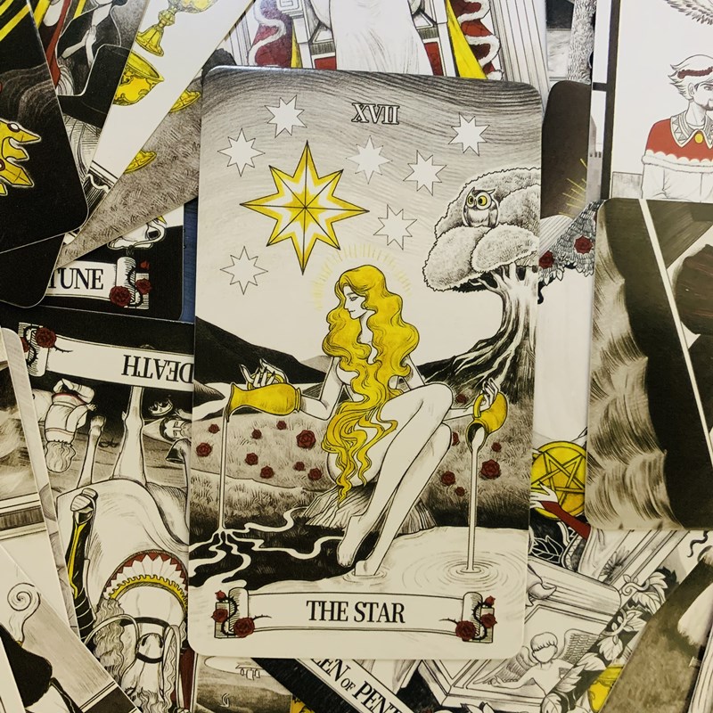 시크릿 미러 타로 카드, 점술 갑판, 영어 비전 에디션 - Tarot Cards Deck With Guidebook 리뷰 및 가격